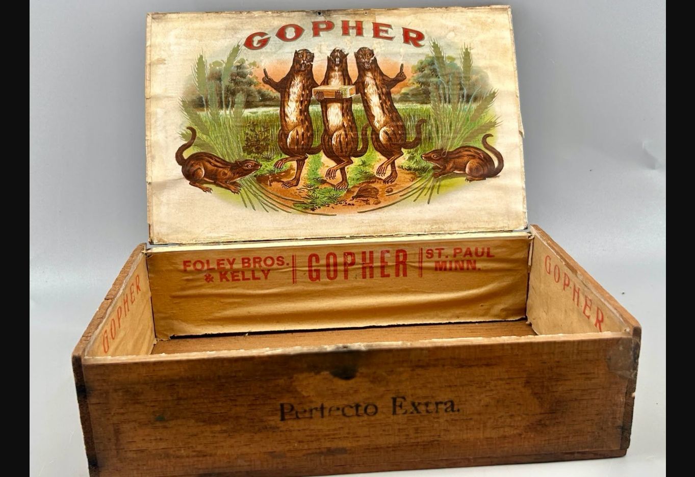 Gopher Perfecto Extra Cigar Box