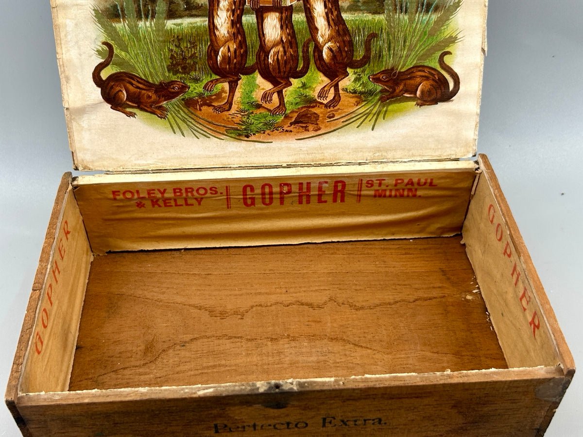 Complete open antique Gopher cigar box with interior and period label material
