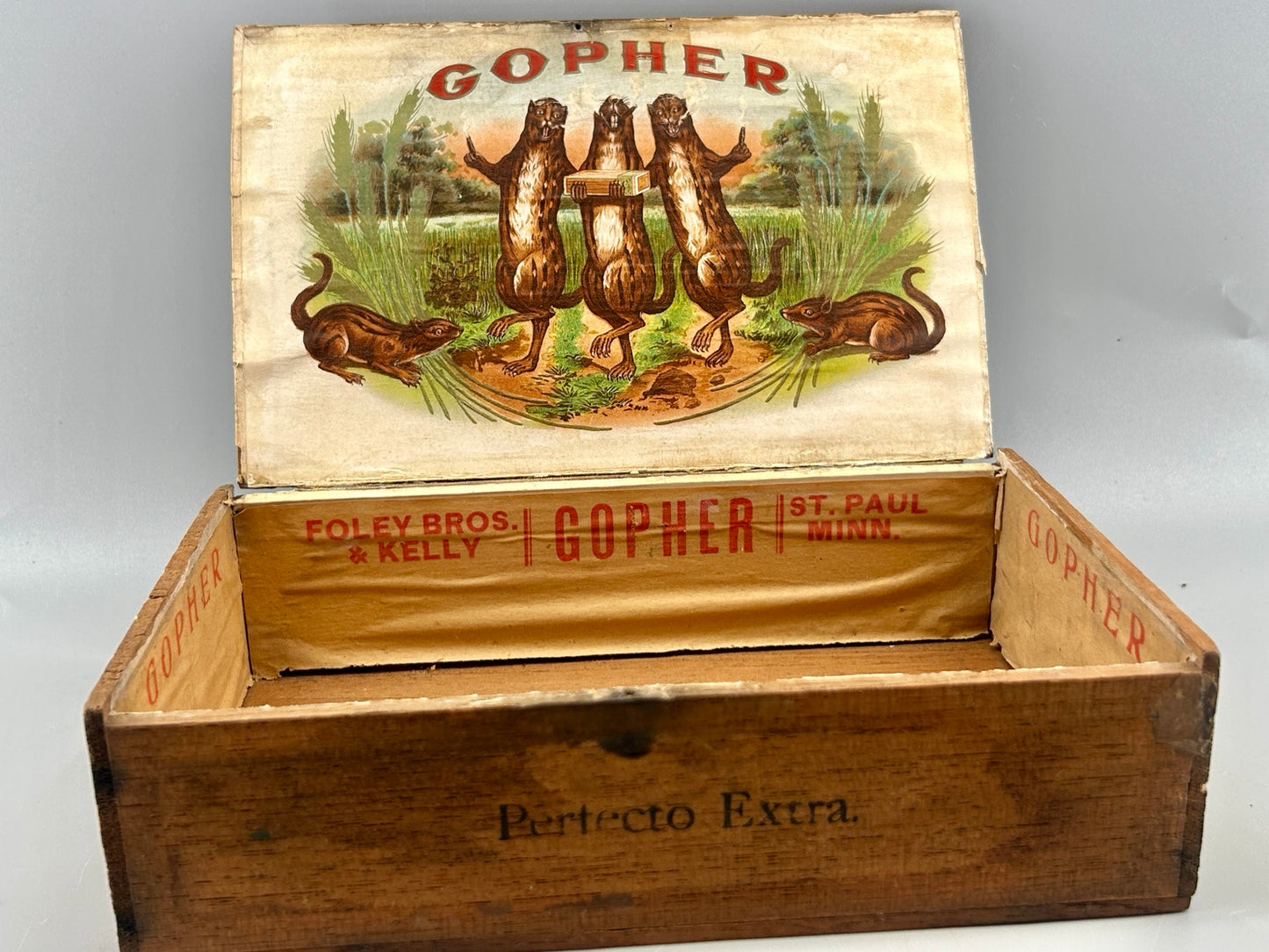 Complete Foley Bros. & Kelly Gopher cigar box open with original interior lithograph