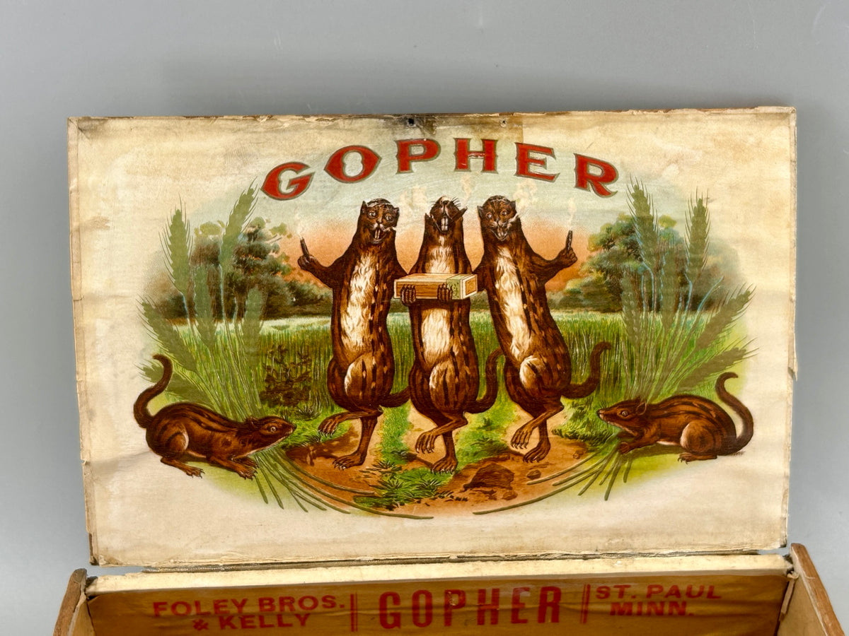 Original Gopher cigar advertising lithograph inside Foley Bros. & Kelly box
