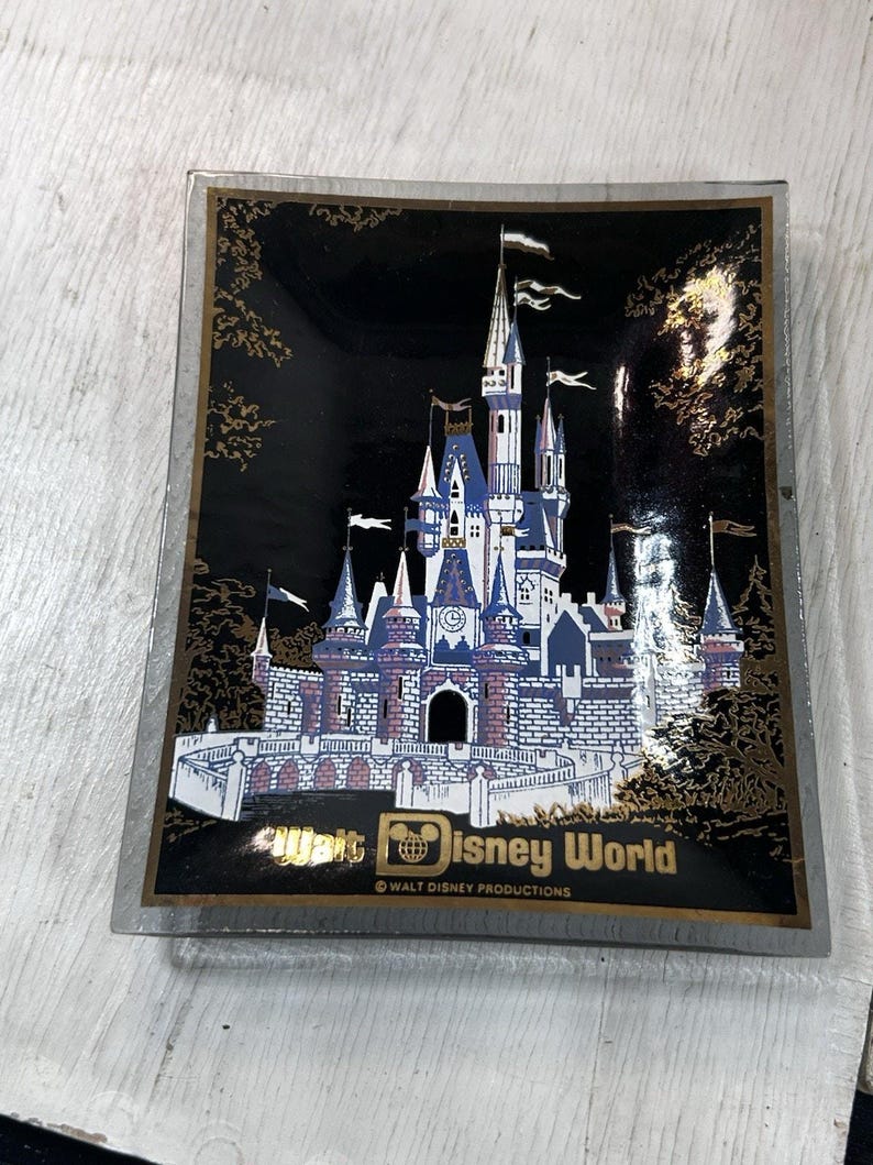 Angled front view showing the rectangular dish, raised rim, and Walt Disney World lettering.