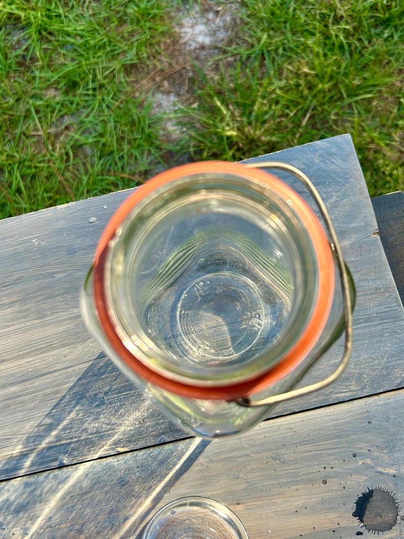 Underside view of the round glass lid and orange-red sealing ring.